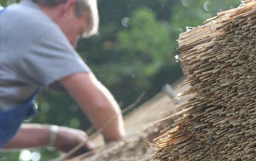 professional Warmsworth thatchers